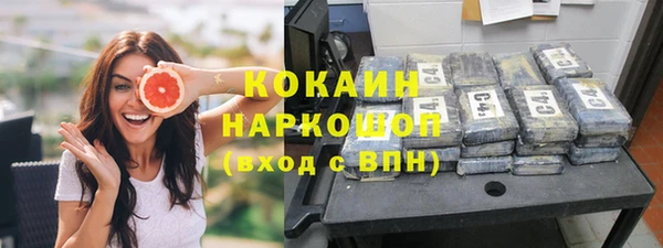 гидра Белокуриха
