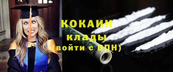 шишки Беломорск