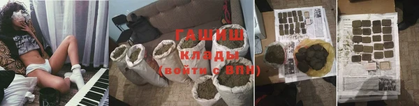 шишки Беломорск