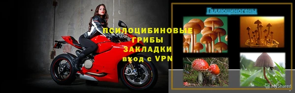 гидра Белокуриха