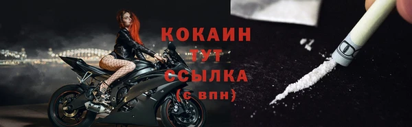 шишки Беломорск