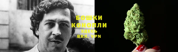гидра Белокуриха