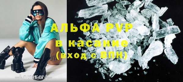 гидра Белокуриха