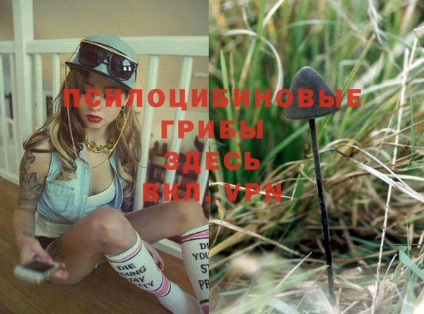 шишки Беломорск