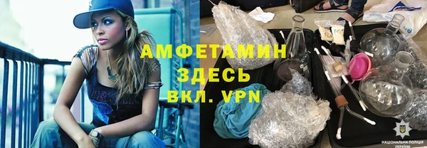 шишки Беломорск