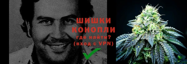 шишки Беломорск