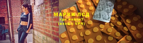 шишки Беломорск